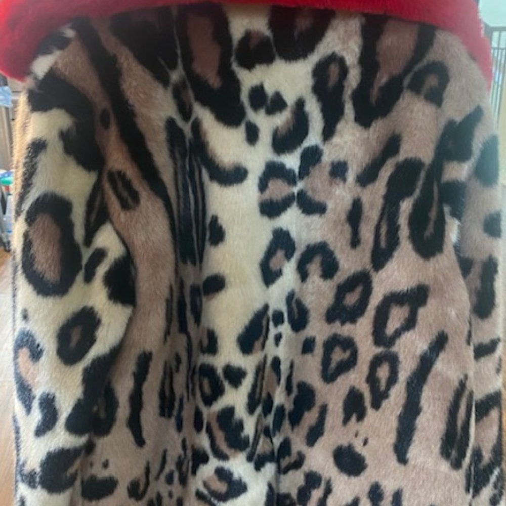 Levivel Pop Collar Faux Cozy Jacket